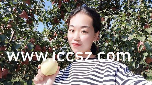 小鸟酱早期视频在线观看，回忆与探索之旅